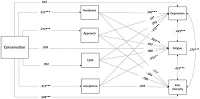 Values and their relationship with emotion processing and physical and psychological symptoms among Jewish and Arab breast cancer survivors